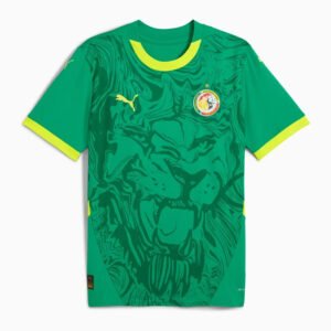 Senegal Away Fan Jersey 2024/25